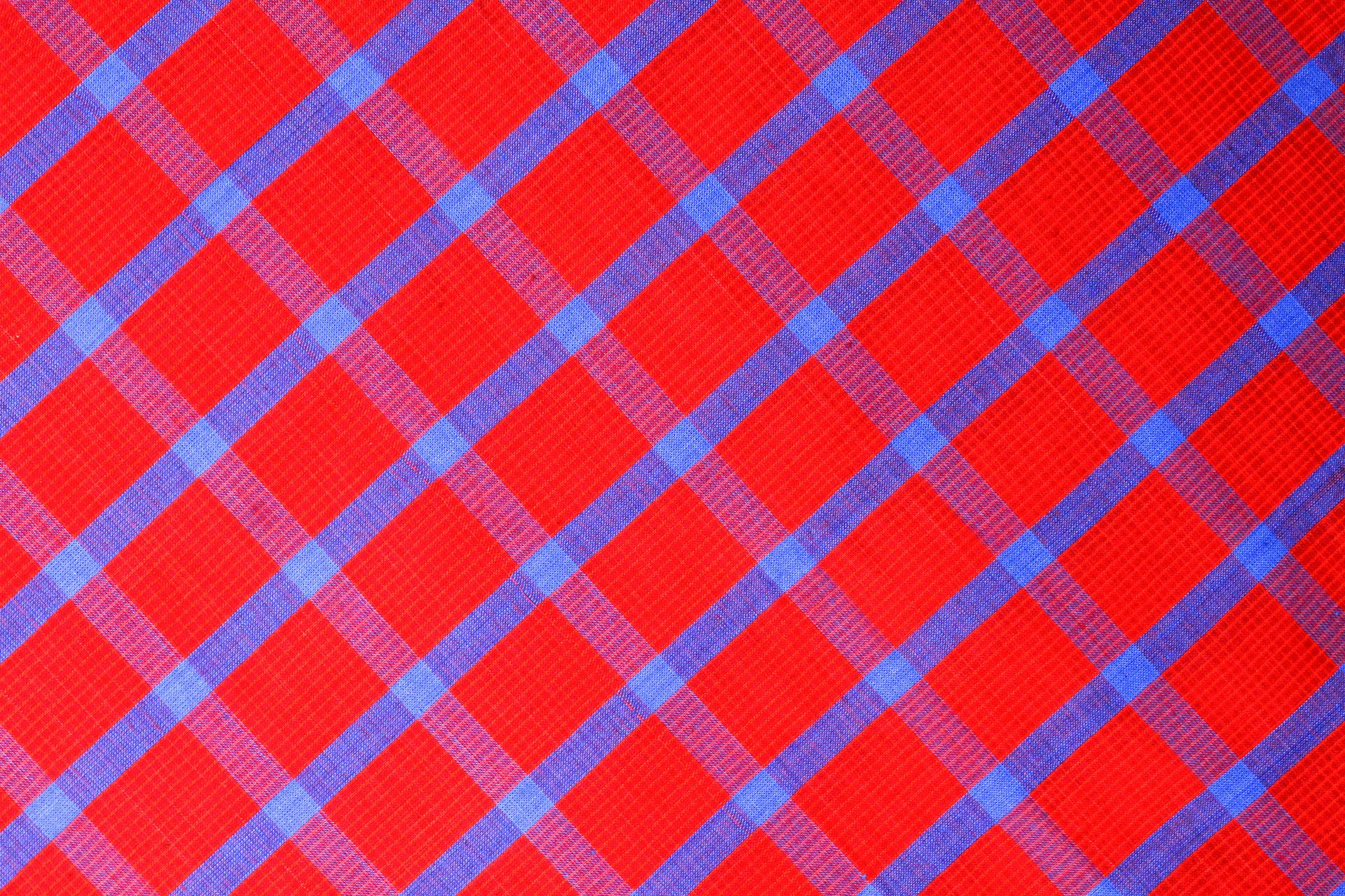 Close-up of a vibrant red and blue checkered fabric pattern, suitable for textile projects.