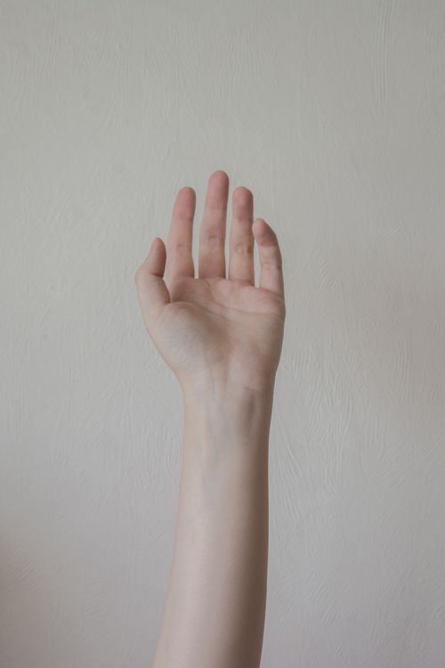 Free Detailed shot of a raised human hand against a plain white background, highlighting the arm and wrist. Stock Photo