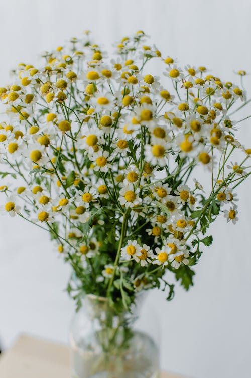 Yellow and White Flowers in Clear Glass Vase