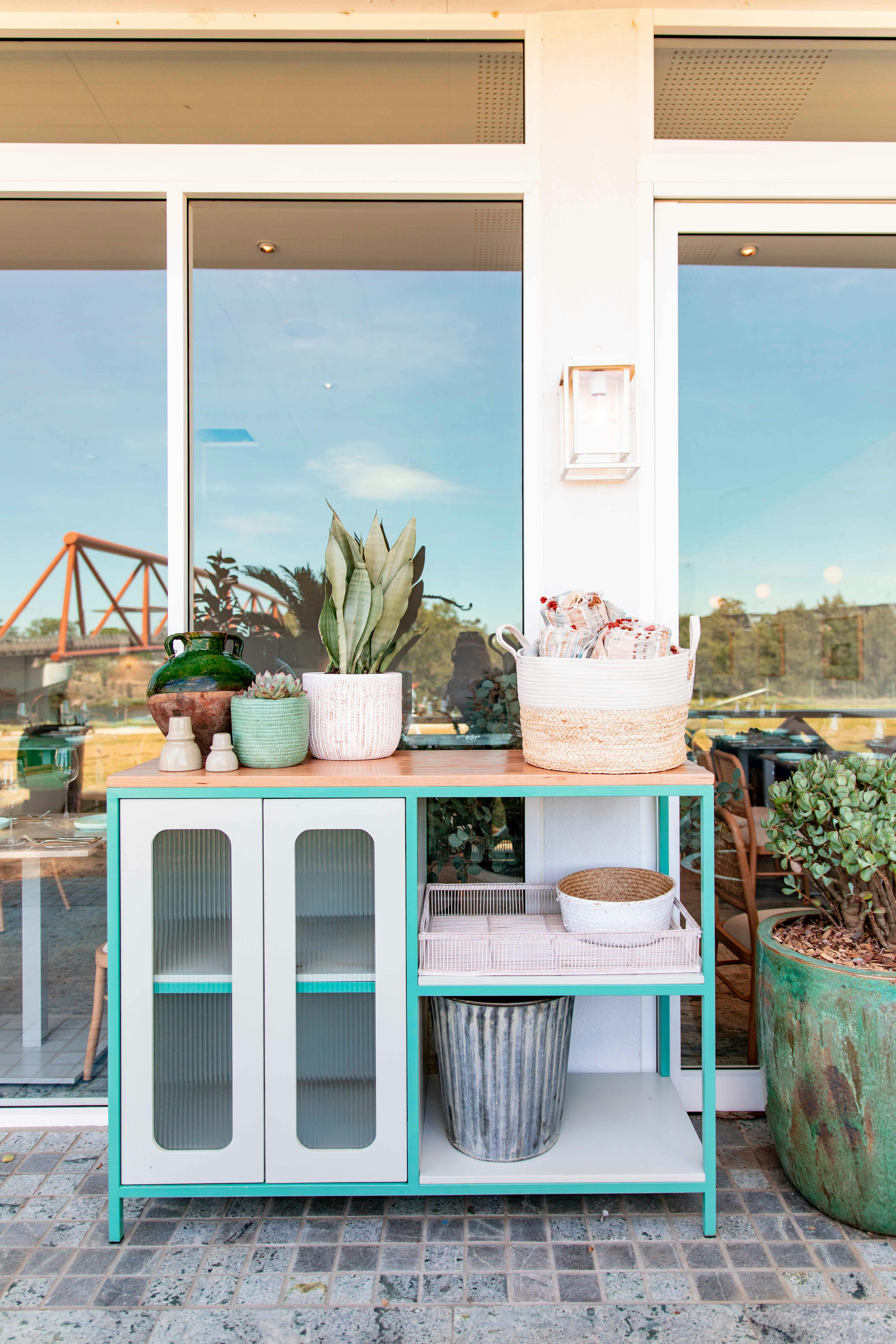 Plants near Windows · Free Stock Photo