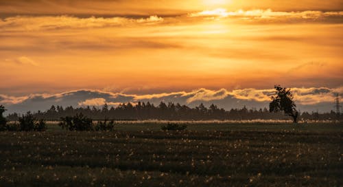 Foto stok gratis awan, bidang, Fajar