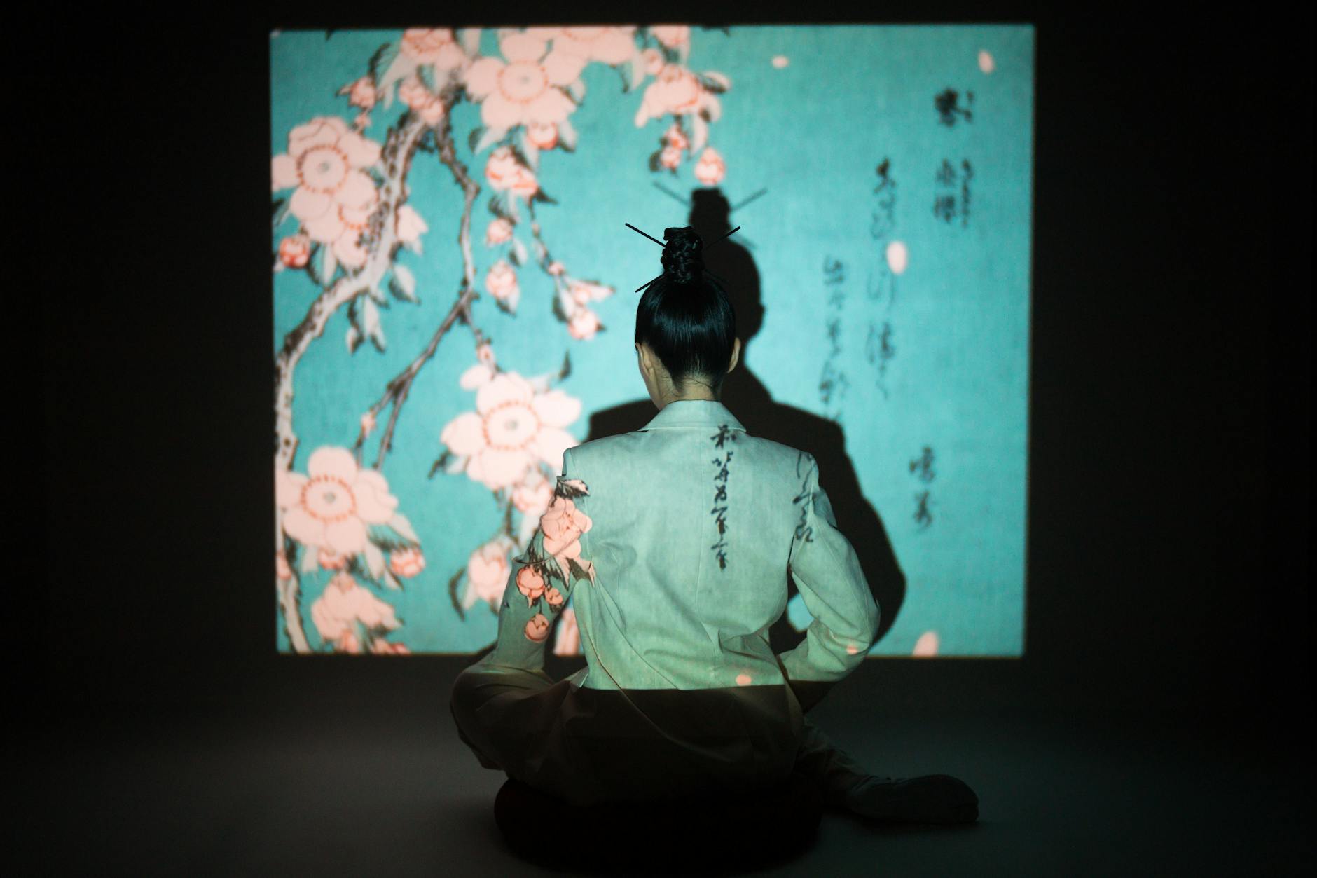 Back View of a Woman Sitting in front of a Projection
