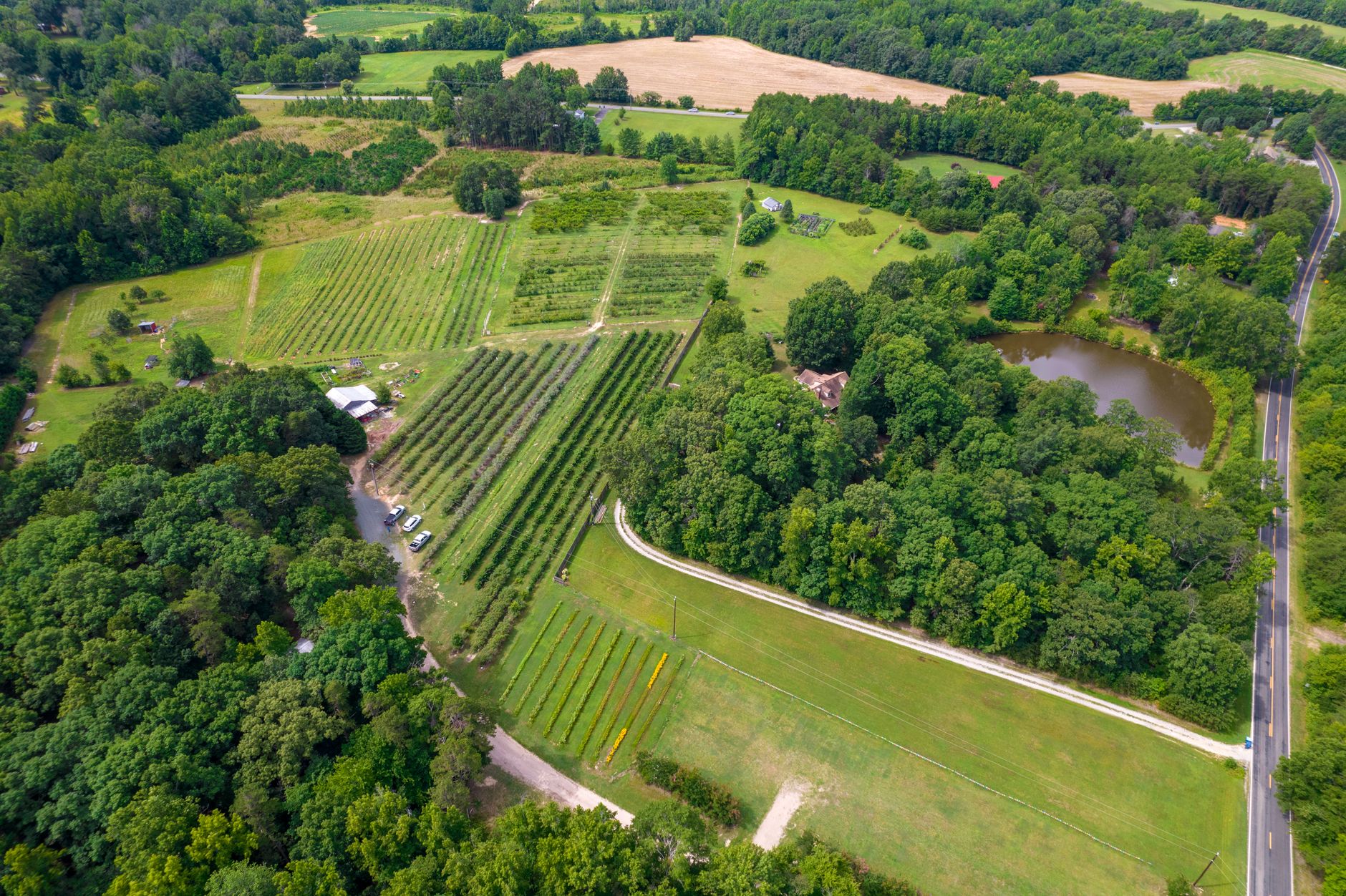 Explore a scenic aerial view of farmland and forest in North Carolina, showcasing nature's vibrant greenery.