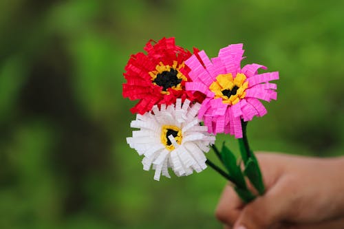 DIY, 꽃, 다채로운의 무료 스톡 사진