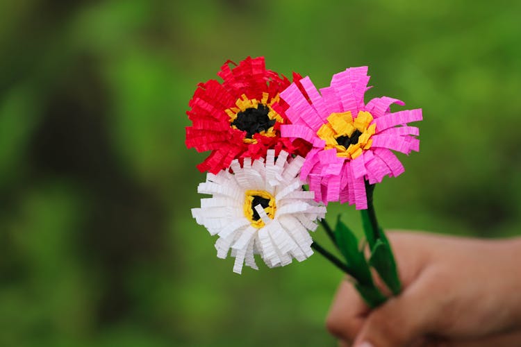 Hand Holding Colorful Paper Flowers 