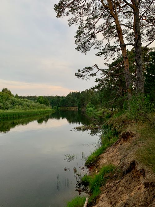 Free Peaceful riverside view in Chagodoshchensky District, Russia, showcasing lush greenery and serene water reflections. Stock Photo