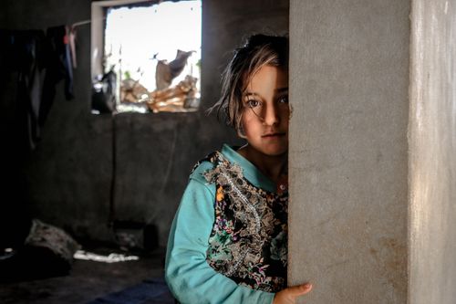 Free A girl with striking brown eyes stands indoors in Idlib, Syria, conveying emotion. Stock Photo