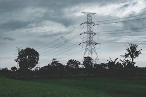 Immagine gratuita di campo di riso, comunicazione, elettricità