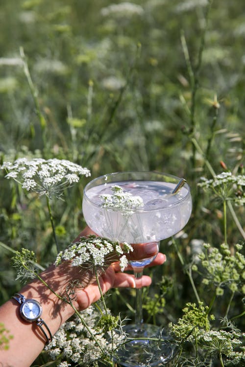 Cocktail Drink Beside Flowering Plants
