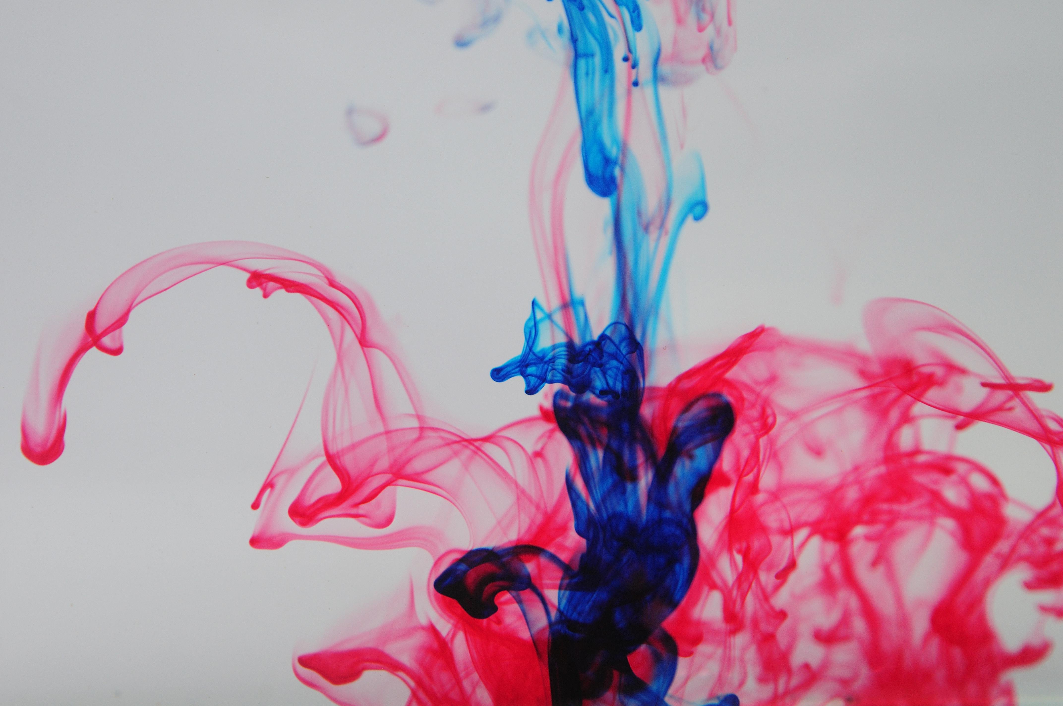 Free stock photo of red and blue