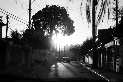 Free A monochrome city street scene with dramatic shadows and sunlight filtering through trees. Stock Photo
