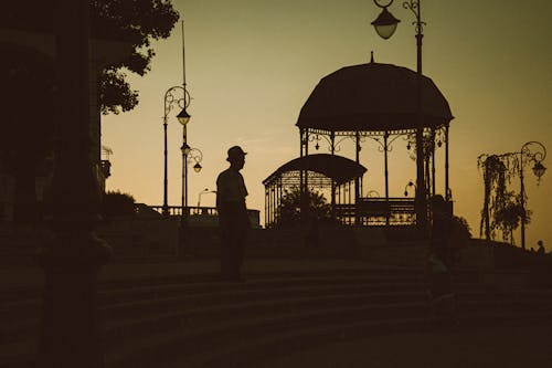 Silhouette of Person Standing on Stairs