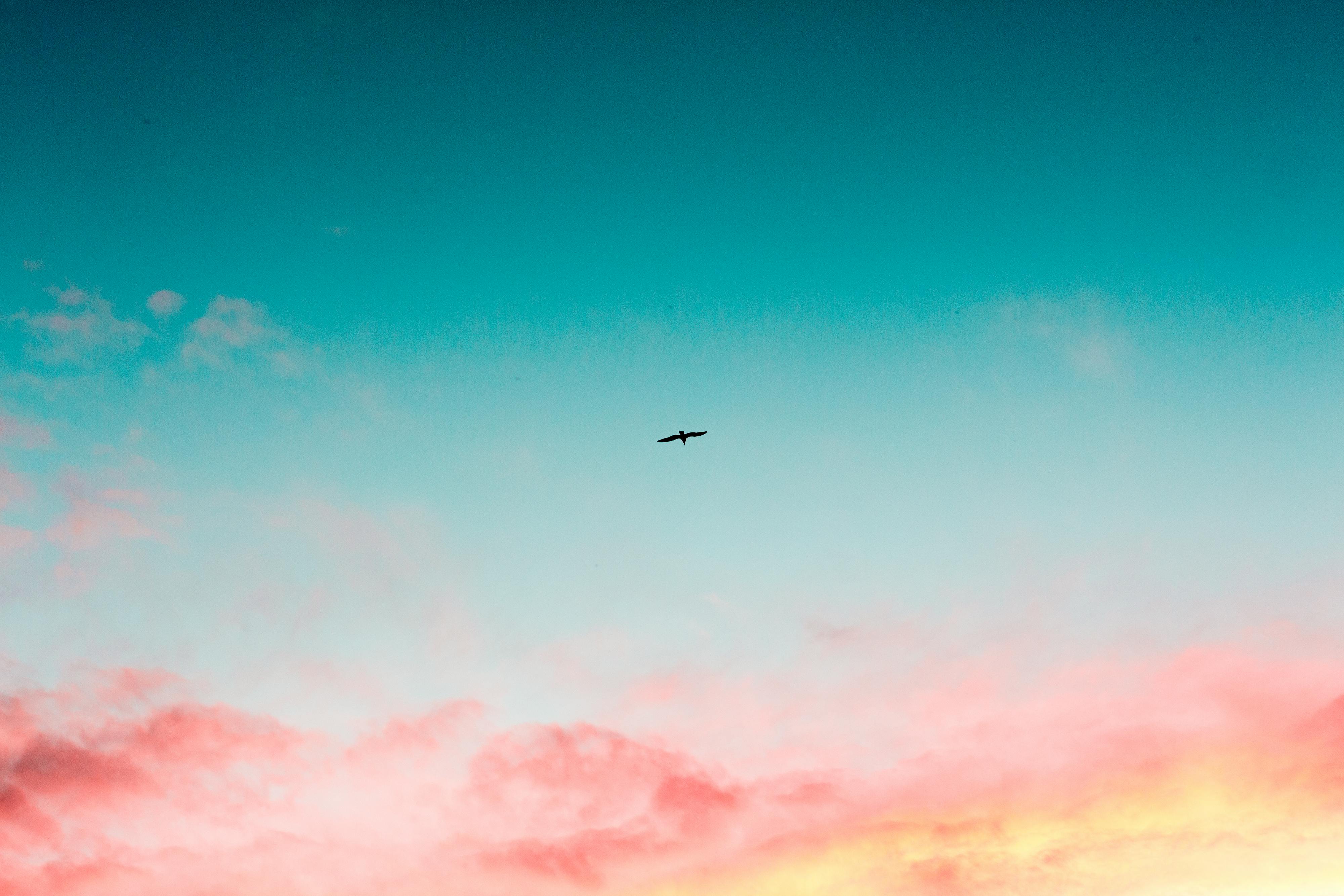 Beautiful Sky Free Stock Photo