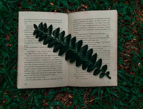 Book Page on Green Grass