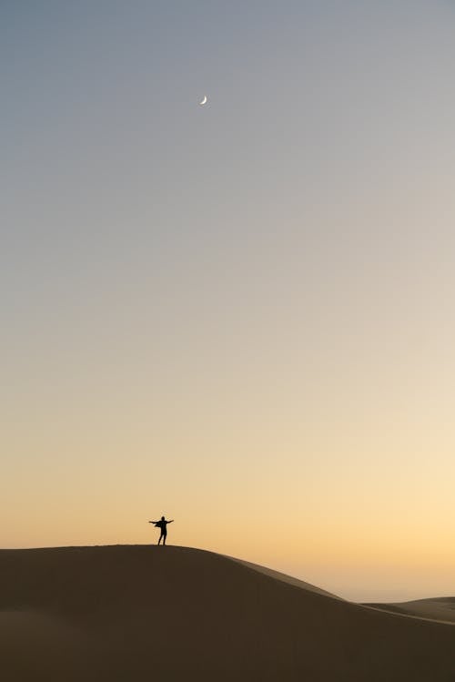 Free Silhouette of a Person Standing on the Hill  Stock Photo