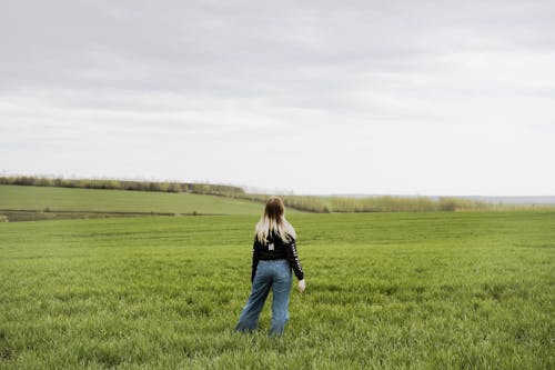 Gratis stockfoto met achteraanzicht, gras, hooiveld