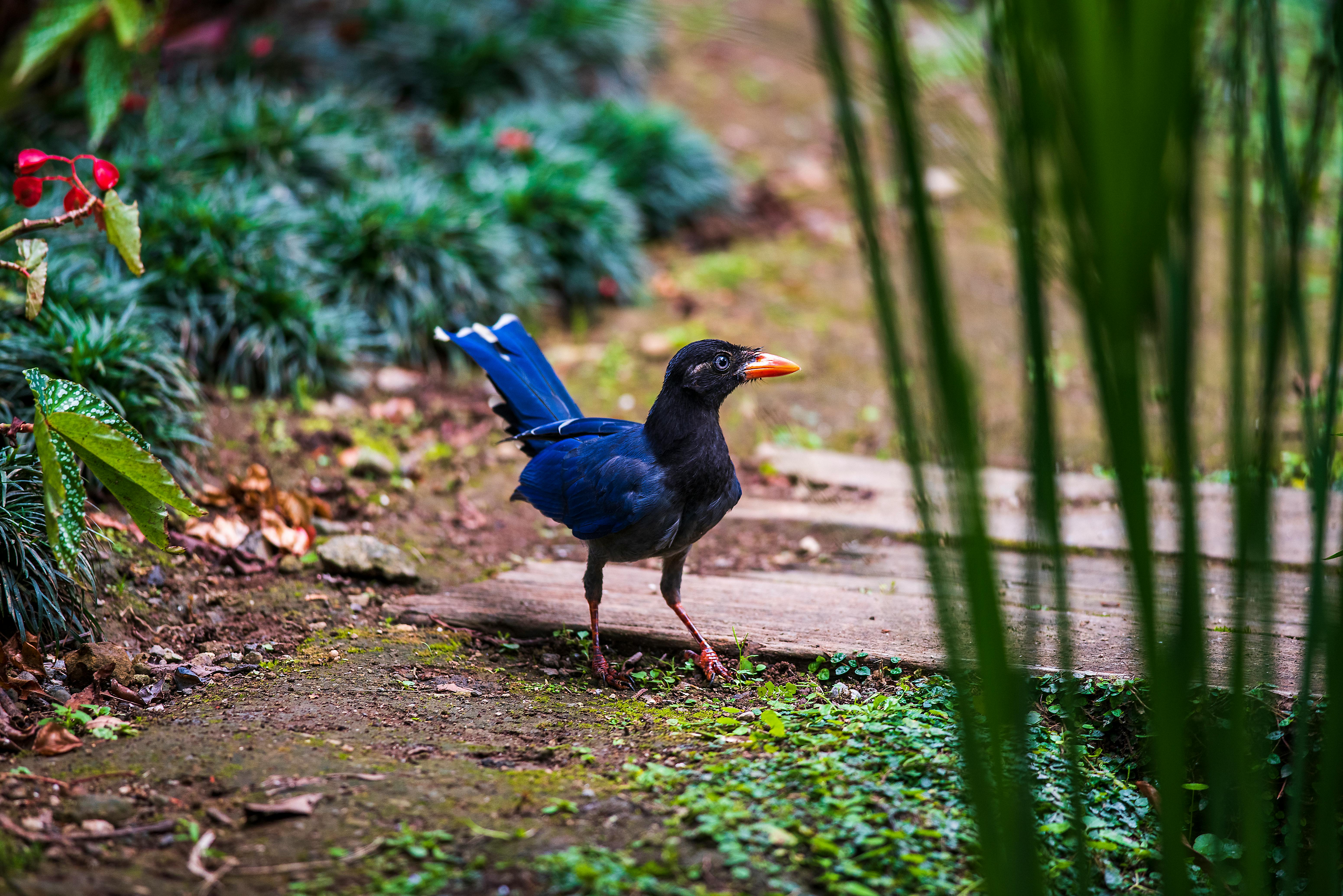 政治：蕭美琴歐洲議會發聲：自由台灣是全球繁榮基石