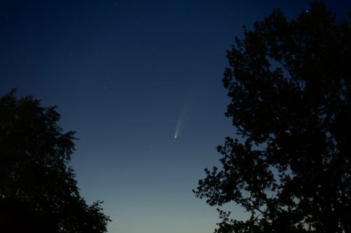 Free A serene view of Comet NEOWISE streaking through the night sky above Russian treetops. Stock Photo