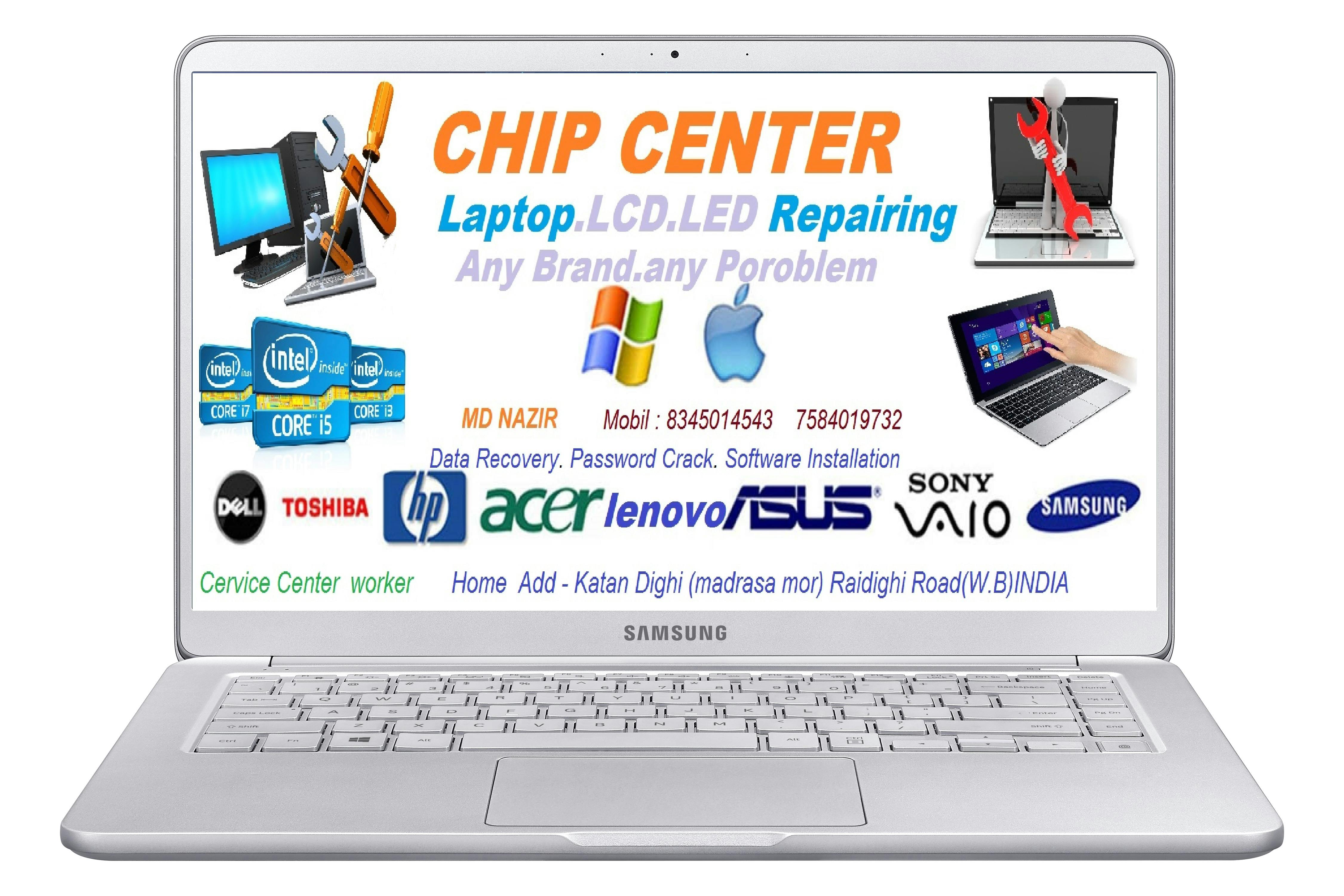 Playful Golden Retriever