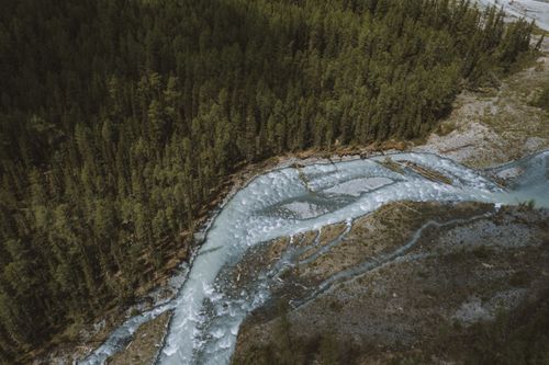 Free A mesmerizing aerial shot of a river flowing through dense forest in Altai, Russia. Stock Photo