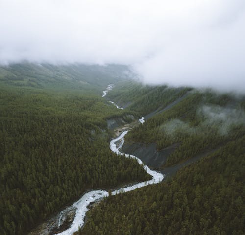 A Valley Between Mountains with Green Trees