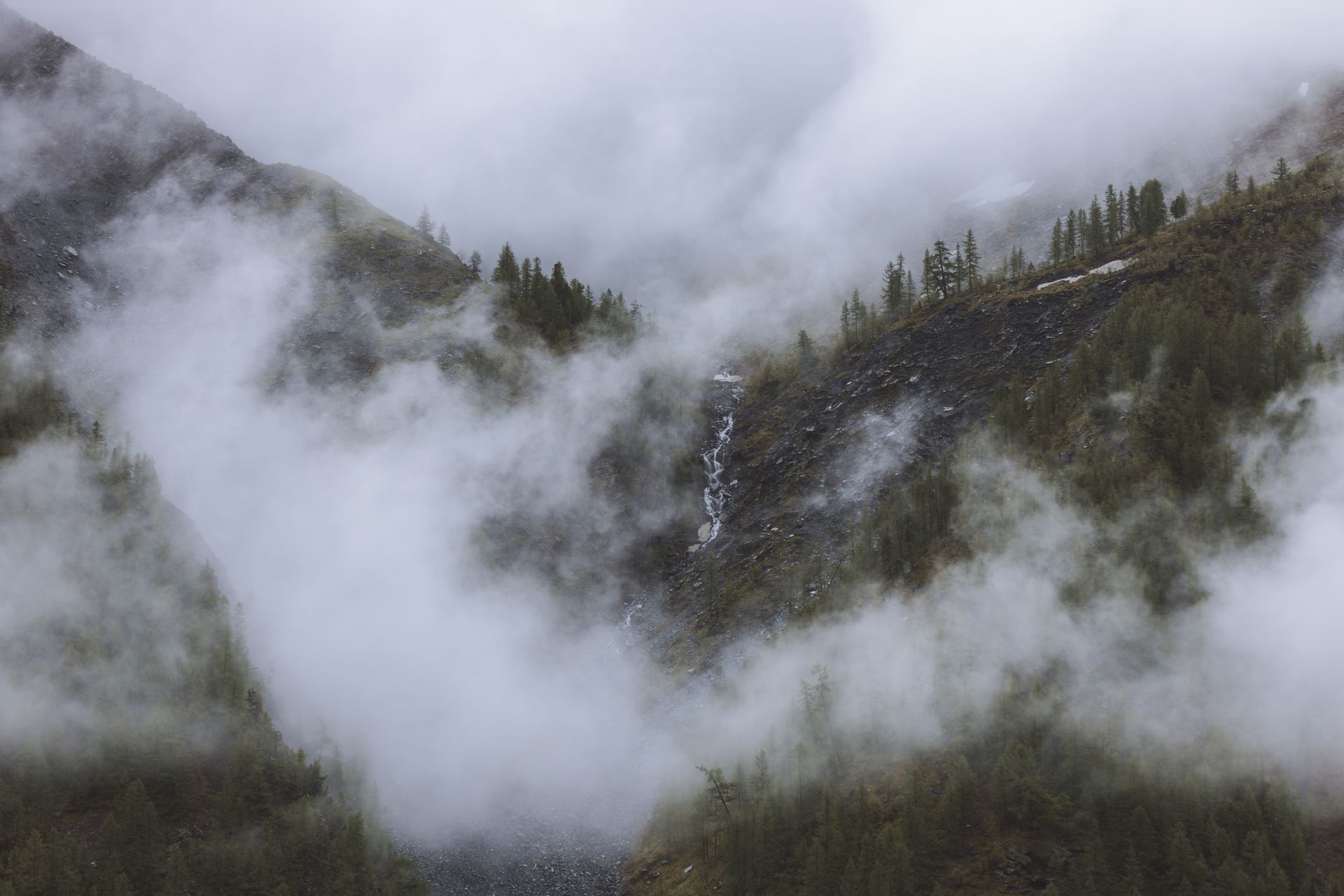 A serene misty mountain landscape with forested slopes and flowing stream surrounded by clouds.
