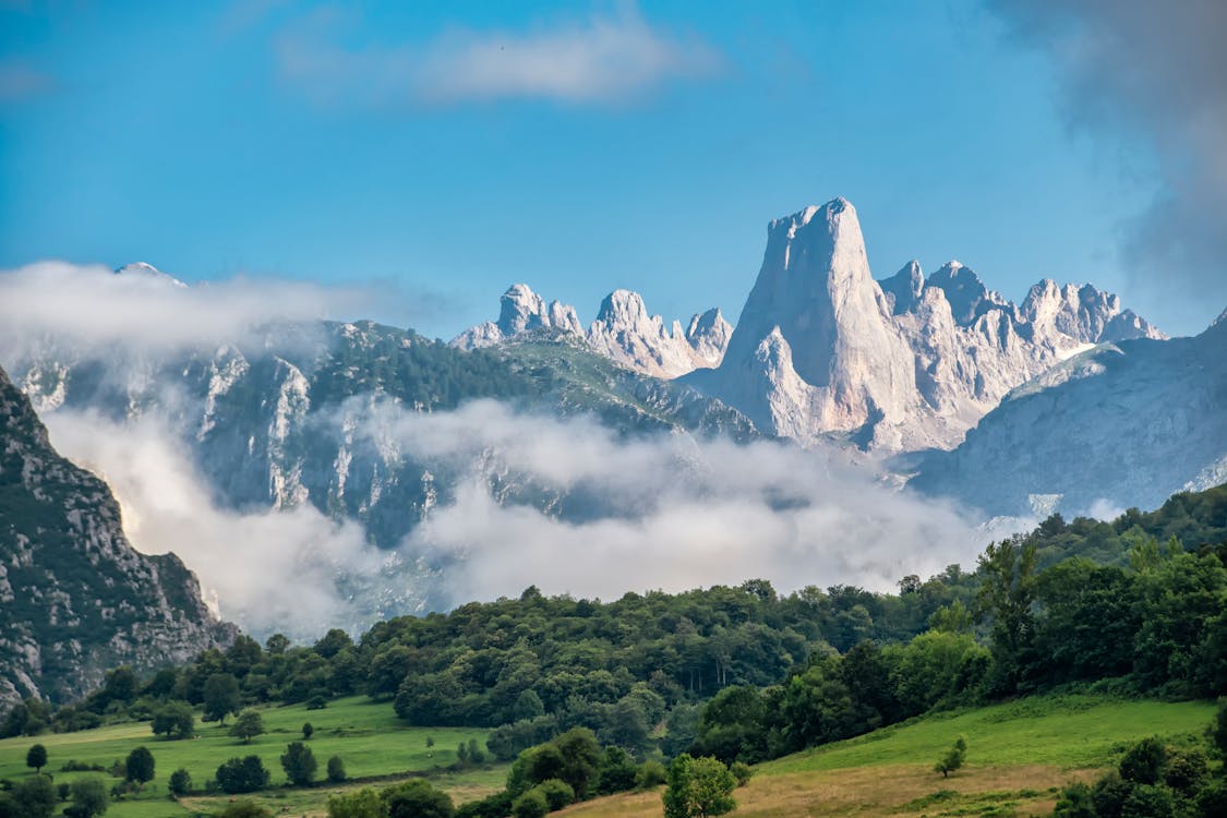 A Green Trees Near the Mountain Under the Blue Sky