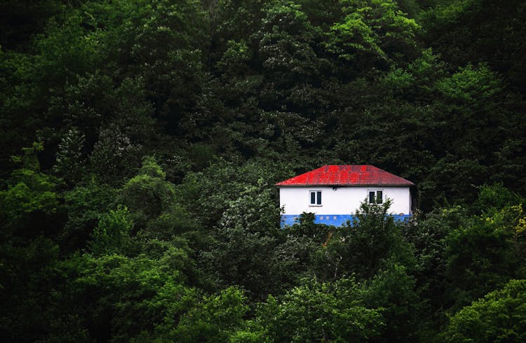 A House Surrounded By Trees