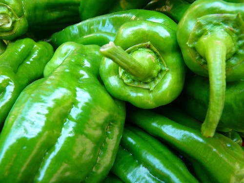 paprika-vegetables-green-food-87626.jpeg?auto=compress&cs=tinysrgb&w=630&h=375&dpr=1
