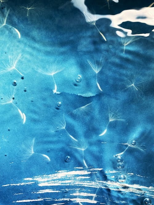 Bubbles on Blue Water Surface