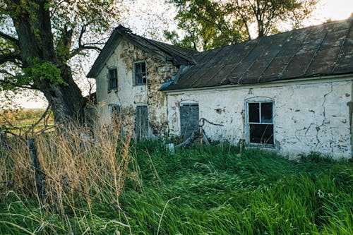 Fotos de stock gratuitas de abandonado, arboles, casa