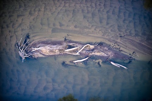 Aerial View of Shallow Sea on the Coast 