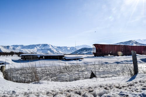 Foto d'estoc gratuïta de bonic, colorado, entrenar