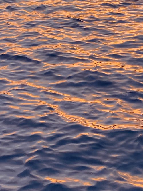 Foto stok gratis backlit, badan air, gelombang