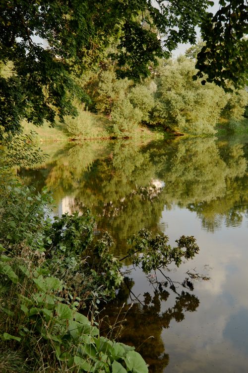 Free Serene lake surrounded by lush greenery, reflecting nature's beauty. Stock Photo