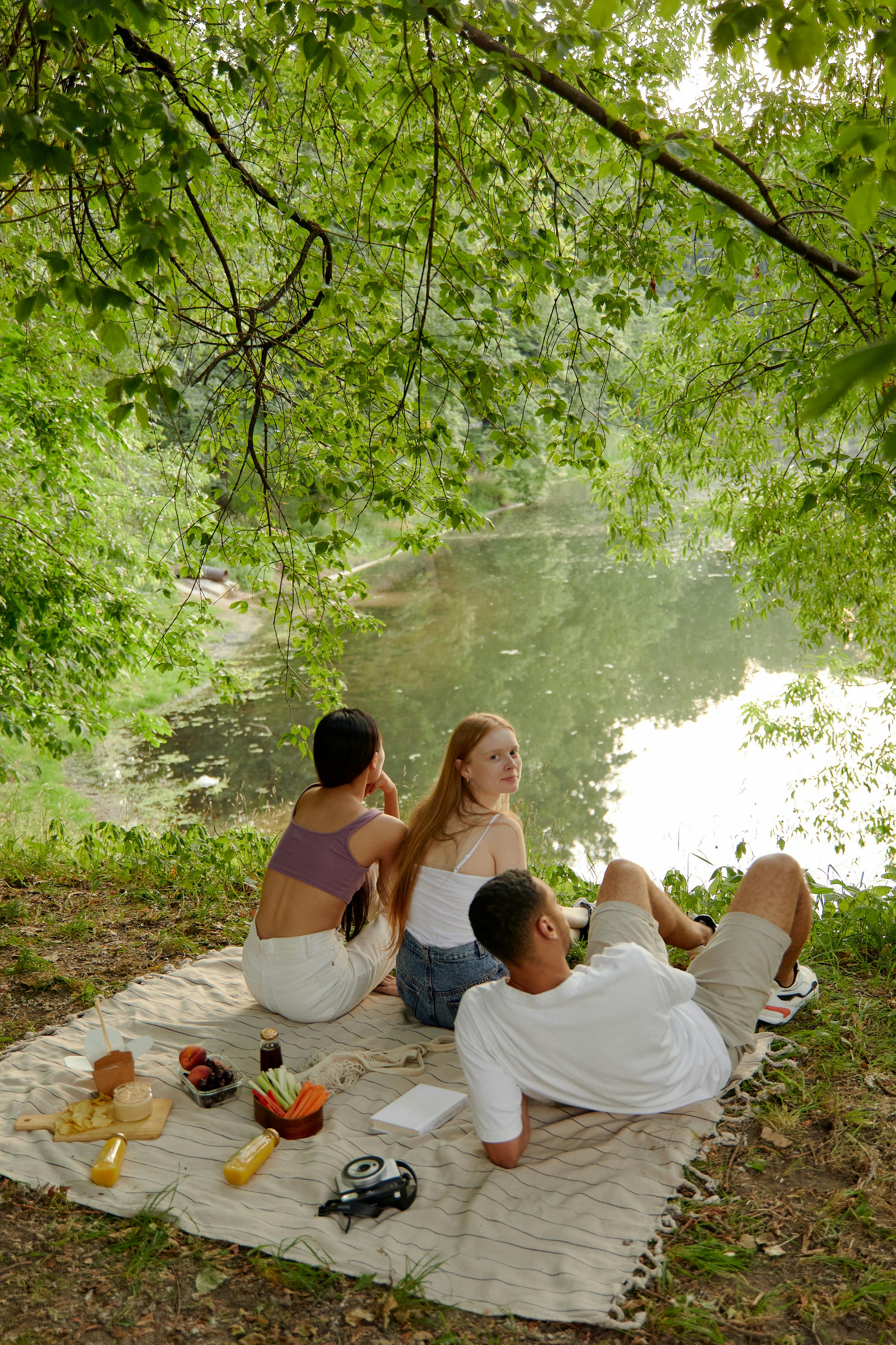 group of friends resting on a forest park while looking at the scenery