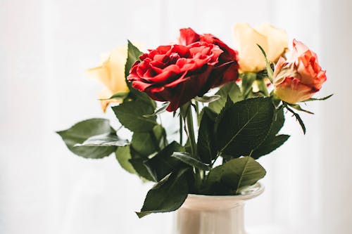 無料 白い花瓶と赤と白の花 写真素材