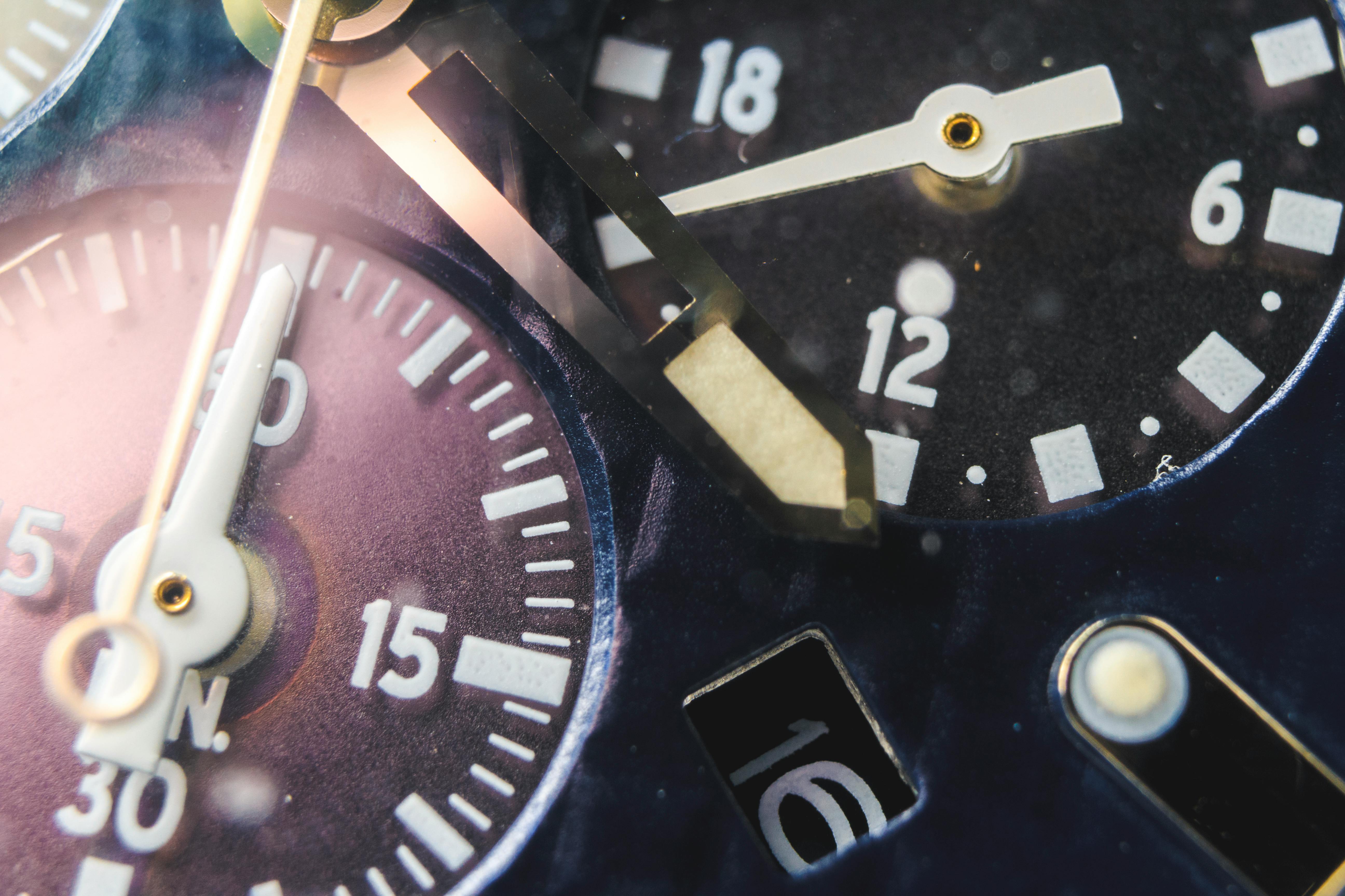 Free stock photo of depth, depth of field, macro