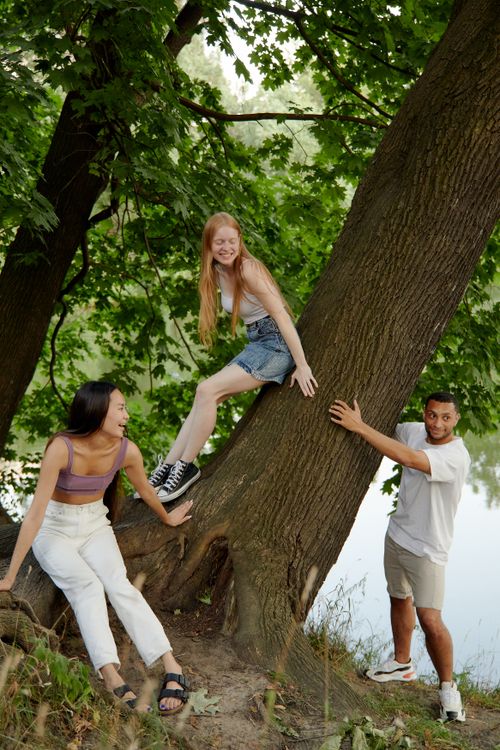 Free Three friends enjoying a summer day climbing a tree near a lake, smiling and having fun together. Stock Photo