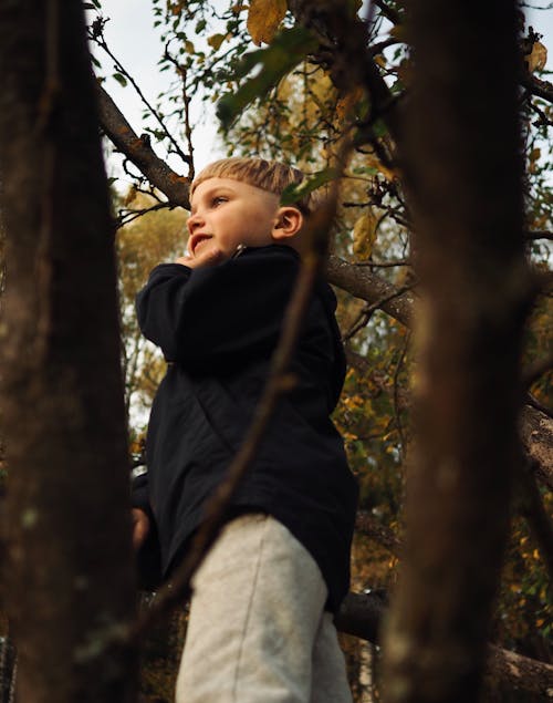 Immagine gratuita di alberi, bambino, capelli biondi