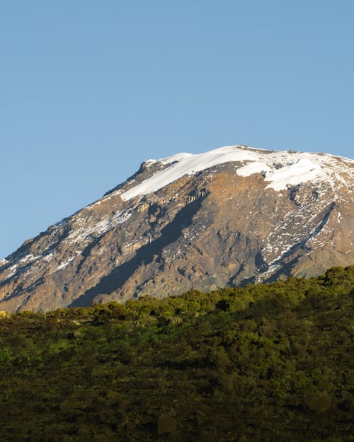 Foto profissional grátis de ao ar livre, árvores, cênico