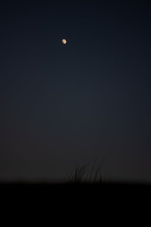 Безкоштовне стокове фото на тему «астрономія, місяць, Місячне сяйво»