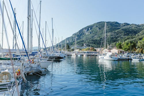 Sailboats Docked on a Harbor