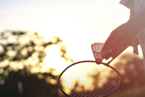 Free stock photo of badminton, badminton racket, hands Stock Photo