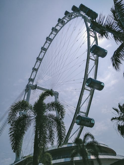 垂直拍攝, 摩天輪, 遊樂園 的 免費圖庫相片