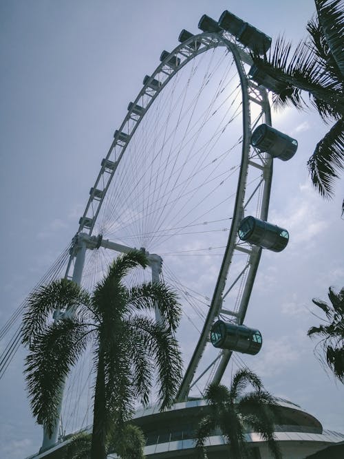 White Ferris Wheel Under Gray Sky