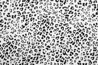 Black and White Leopard Textile