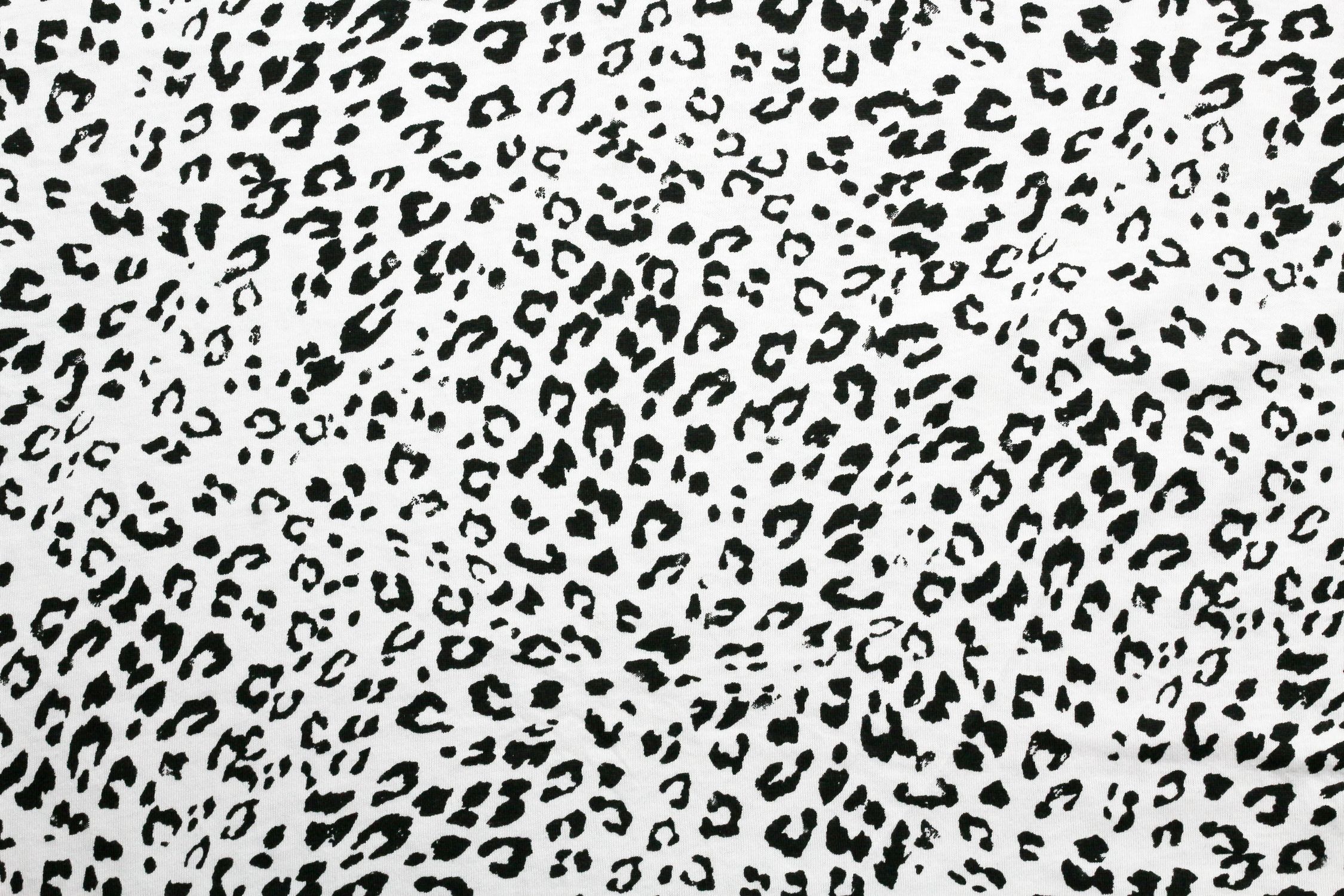 Black and White Cheetah Pattern · Free Stock Photo