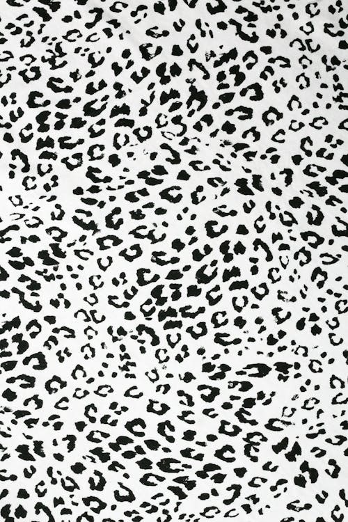 Close-Up Shot of a Black and White Leopard Print