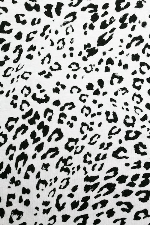 Close-Up Shot of a Black and White Leopard Print